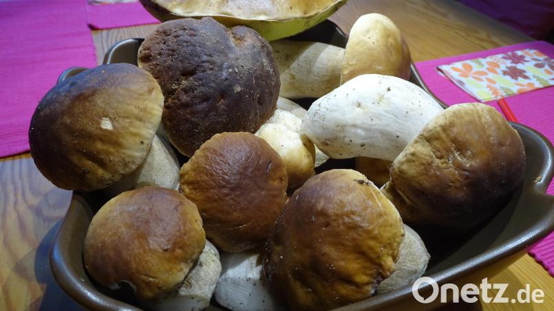 Die Servietten liegen schon auf dem Tisch. Jetzt müssen die Steinpilze nur noch geschnitten, und zu einer nicht nur im regionalen Raum beliebten "Schwammerlbröih"verarbeitet werden. Darauf musste man heuer lange warten. Bild: Houschka