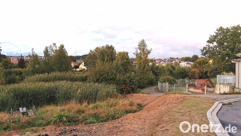 Blick auf das entstehende Naturerlebnisgelände in den Siechenwiesen, angrenzend an die städtische Kindertageseinrichtung (rechts). Bild: Portner