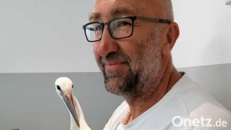 Das verunglückte Vilsecker Störchlein ist bei Hans Weiß in der Tierauffangstation Kümmersbuch über den Winter gut aufgehoben. Bild: rha