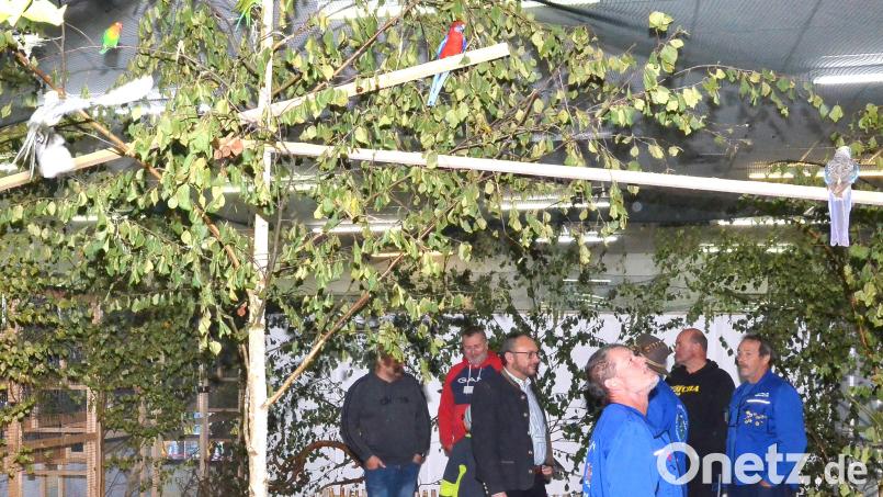 EIntauchen in die bunte Welt der Vögel lässt es sich im Waidhauser Kleintierzentrum am langen Wochenende. Bild: fjo