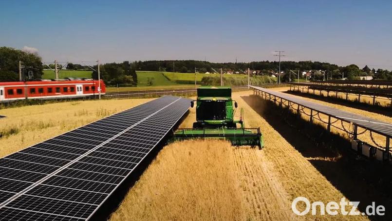 Bei der Agri-PV-Anlage würde der Abstand der Modulreihen elf Meter, die bewirtschaftete Breite neun Meter betragen. Das Ziel ist eine Doppelnutzung der landwirtschaftliche Flächen. Bild: Doppelernte/exb