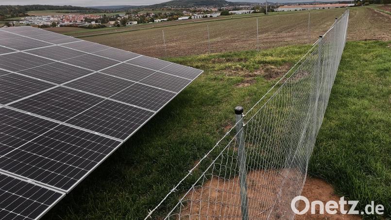 Gleich neben der Freiflächen-Photovoltaikanlage neben dem Postweiher soll auf einer Fläche von 32 Hektar ein neues Gewerbegebiet entstehen. Wer sich hier ansiedeln will, muss bis zu 60 Prozent Photovoltaik installieren. Bild: Petra Hartl