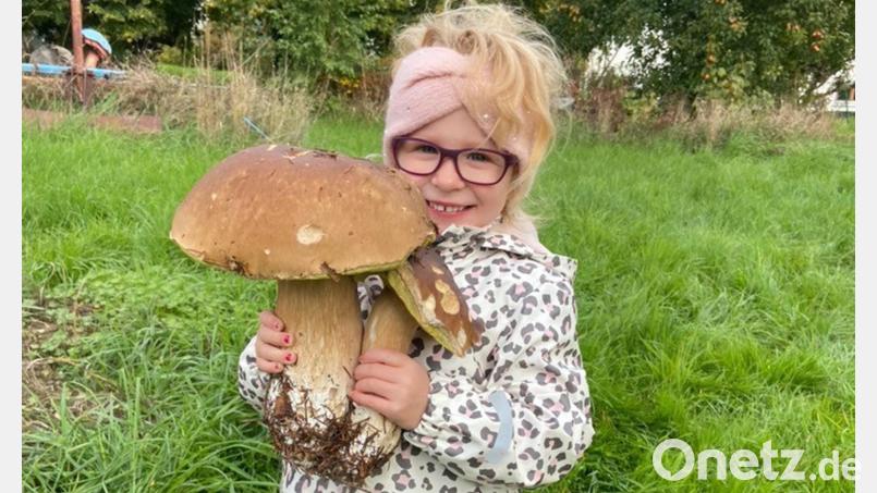 Die vierjährige Elisa aus Waldershof war das erste Mal beim Schwammern. Bild: Katharina Prucker/exb