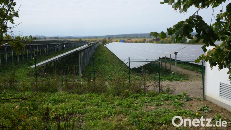 Bei der Errichtung von Freiflächenphotovoltaikanlagen müssen die Antragsteller und Investoren künftig die Vorgaben des vom Stadtrat beschlossenen Kriterienkatalogs erfüllen. Bild: bey