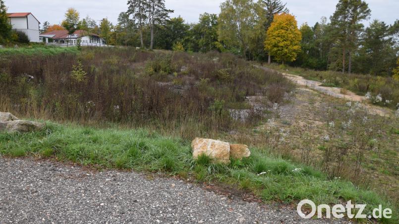 Auf dem Theilberg in Schmidmühlen sollen bis zu neun Häuser mit 18 Ferienwohnungen auf dem ehemaligen Schildt-Firmengelände gebaut werden. Bild: bö