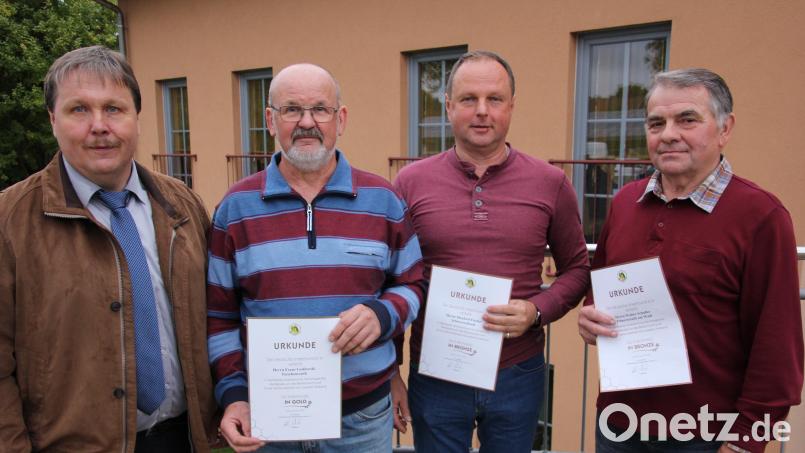 Langjährige Mitglieder ehrte der Imkerverein Tirschenreuth bei der Jahresversammlung. Im Bild (von links) Vorsitzender Martin Fischer, Franz Godlewski, Manfred Fischer und Walter Schuller. Bild: kro