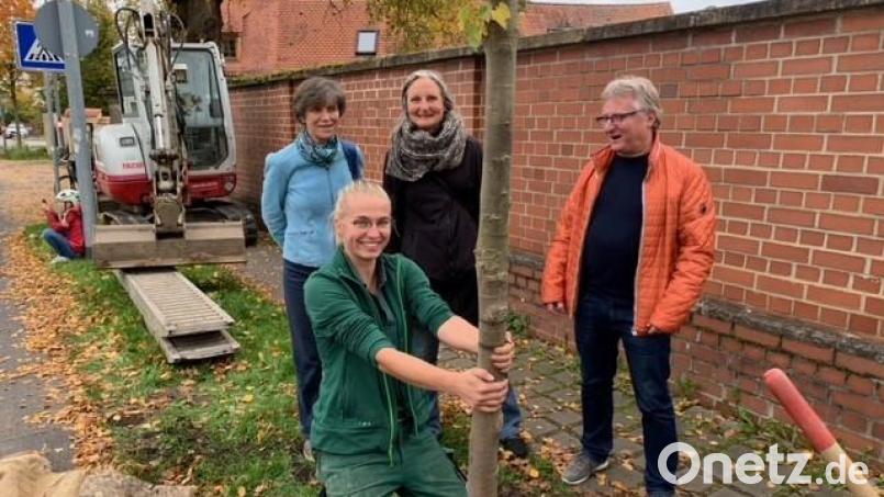 Eine Linde erinnert an den kürzlich verstorbenen Helmut Wilhelm (von links): Ina Schleicher (Grüne), Maria Seidl (Firma Lobinger) sowie Simone Maaß und Hans-Jürgen Bumes (beide Grüne). Bild: Claudia Ried/exb