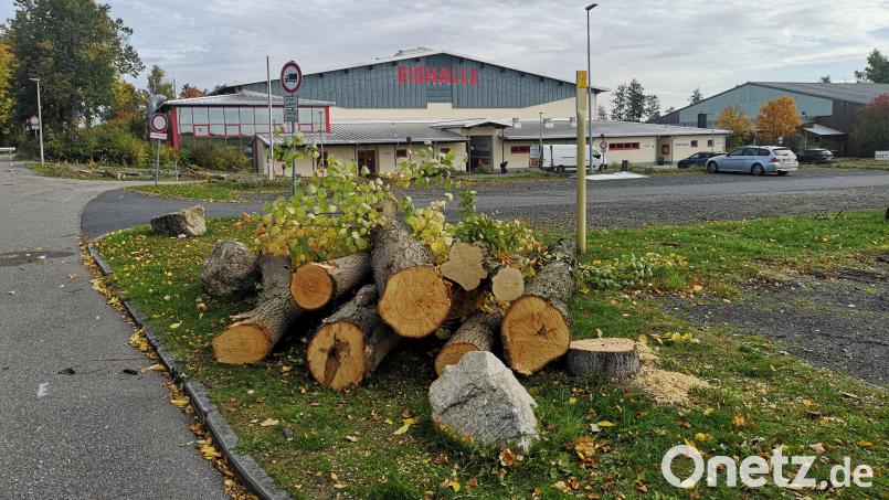 Zahlreiche Stämme lagen einige Tage nach der Abholzaktion noch auf dem Areal bei der Eishalle Mitterteich herum. Bild: lnz