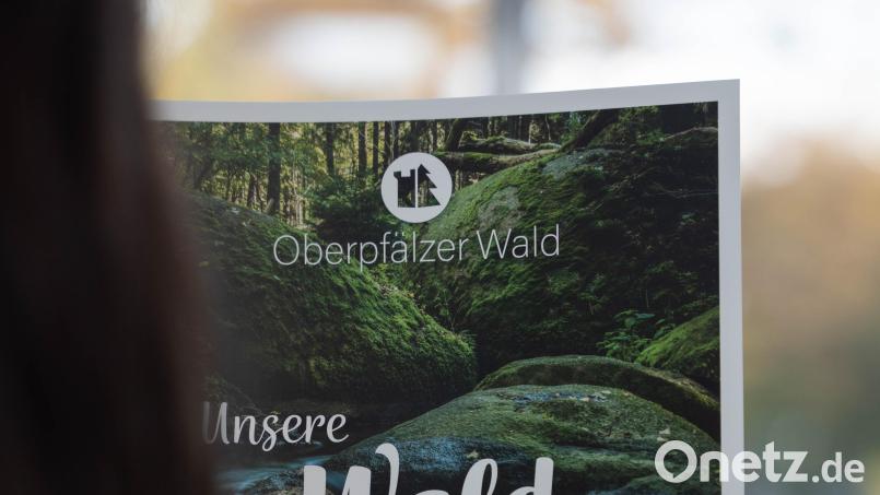 Wasser und Wald: Natur gehört zu den Dingen, die Touristen an der Oberpfalz schätzen. Mit einem neuen Design will sich die Tourismusgemeinschaft zur starken Marke weiterentwickeln. Bild: Jakob Graf