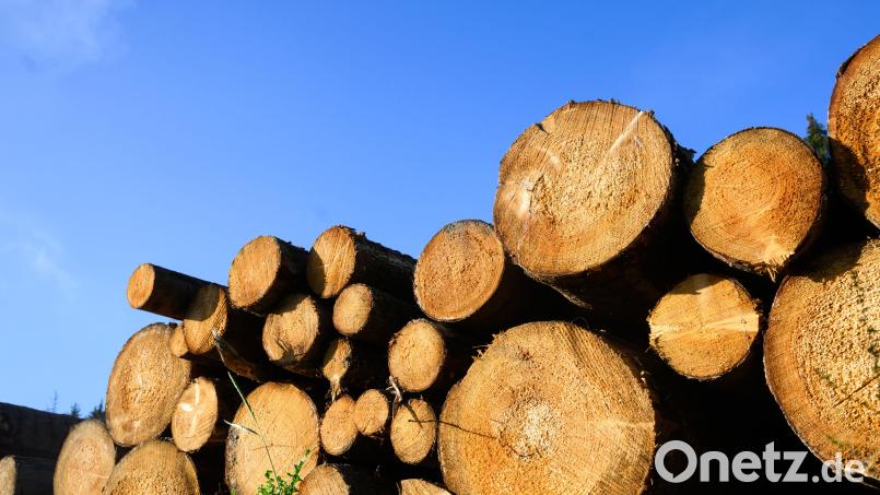 Holzdiebstähle nehmen zu. Der Forstbetrieb Waldsassen kündigt an, zukünftig jeden Diebstahl zur Anzeige bringen. Symbolbild: Julian Stratenschulte / dpa