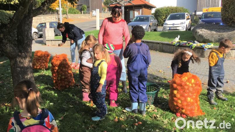 Die knallroten Äpfel leuchten mit dem bunten Laub um die Wette. Bei herrlicher Oktobersonne sammelten die Kindergartenkinder gemeinsam mit ihren Betreuerinnen Dagmar (Vierte von rechts) und Julia (links) und der Jungen Union die Äpfel vom Gemeindebaum am Rathaus. Bild: cro