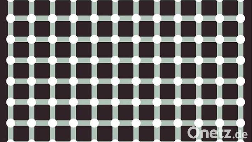 Fujiya &amp; Miyagi: Slight Variations (PIAS) Bild: Pias