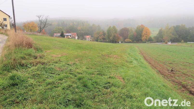 Eine ökologische Aufwertung erfährt die „Spornwiese“ (Bildmitte) durch das Pflanzen von Obstbäumen und einer Hecke sowie einer Wiesenextensivierung. Die Wiese im Ortsteil Frauenreuth ist eine von fünf Flächen, die Friedenfels für sein Ökokonto bereitstellt. Bild: bsc