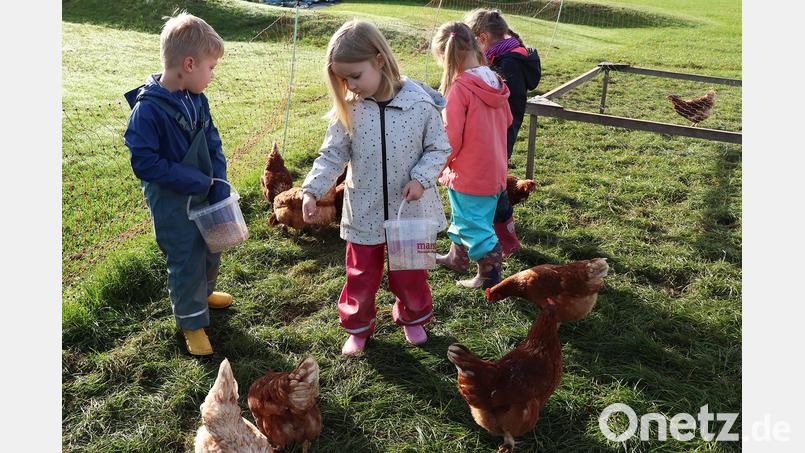 Kinder der Kindertagesstätte St. Markus aus Weiden füttern die Hühner auf dem Bauernhof der Familie Ziegler in Rupprechtsreuth. Bild: Petra Stemmler-Richter/SVLFG/exb