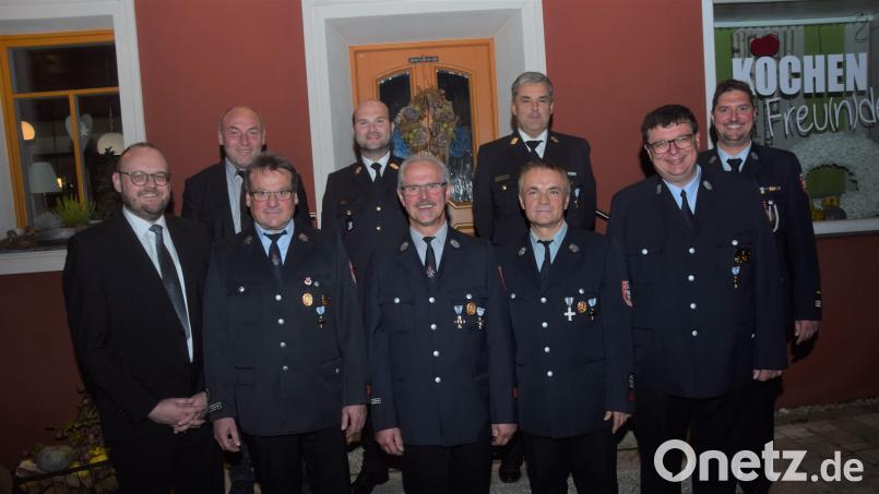 Neben den Ehrenzeichen in Gold überreicht Landrat Andreas Meier (links) das Große Ehrenzeichen des Freistaates für 50 Jahre aktive Dienstzeit an Hermann Prechtl (vorne Dritter von links). Bild: fz