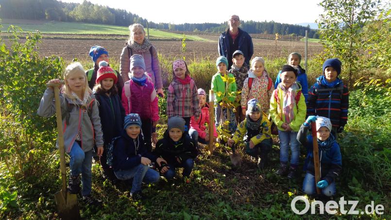 Die erste Klasse ist stolz auf den frisch gepflanzten Ahornbaum. Hausmeister Alfons Linsmeier und Klassenleiterin Marlene Bodensteiner haben mitgeholfen. Bild: amö
