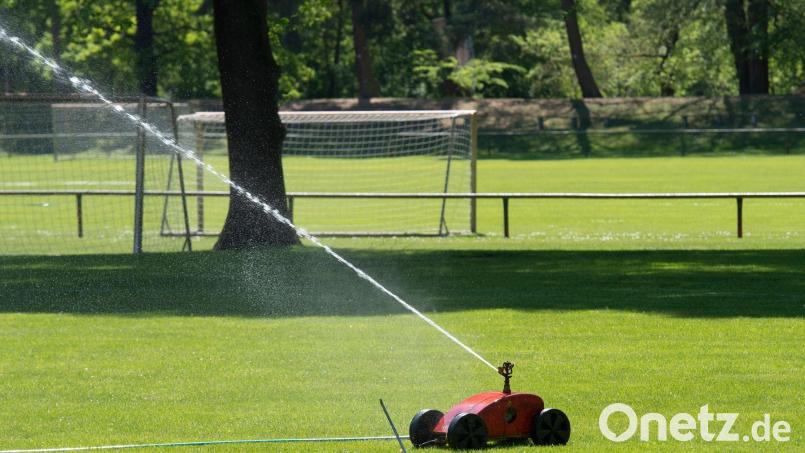 Der TSV Pressath konnten im heißen Sommer nur den A-Platz bewässern. Symbolbild: Paul Zinken/dpa-zb-Zentralbild/dpa