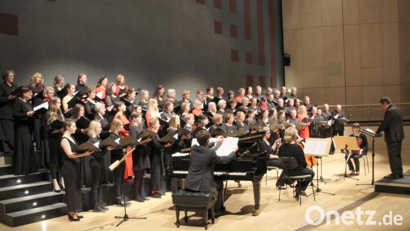 Der Weidener Kammerchor muss seinen für Samstag vorgesehehen Auftritt in der Max-Reger-Halle streichen. Archivbild: fsb