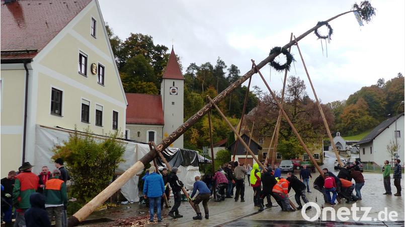 In Pfaffenhofen wird der Kirwabaum noch traditionell mit Muskelkraft in die Senkrechte gebracht. Nach einer guten Stund ist der Kraftakt geschafft. Bild: jp