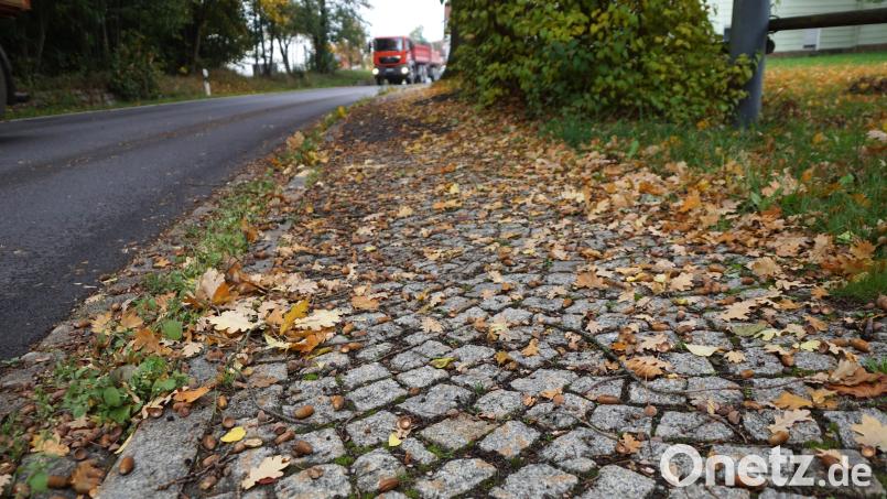 Laub auf den Gehbahnen und alles, was dort von den Bäumen fällt, ist ab dem kommenden Jahr vom Anlieger zu entfernen, wenn es verkehrsgefährdend ist. Bild: bkr