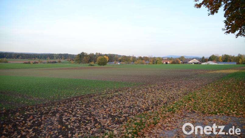 Auf diesem Areal sollen 68 Wohneinheiten durch die Ziegler-Group gebaut werden. Bild: ak