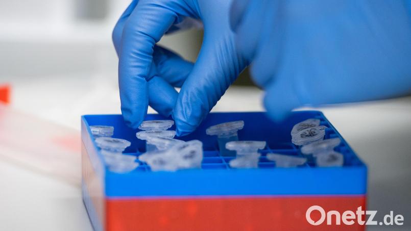 Eine Laborantin sortiert im Institut für Virologie an der Charite Berlin Mitte, in dem Untersuchungen zum Coronavirus laufen, Proben. In Deutschland ist erstmals eine Infektion mit dem neuartigen Coronavirus bestätigt worden. Bild: Christophe Gateau/dpa