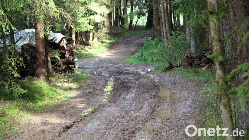 Um eine Rad- und Fußwegverbindung von Kirchenthumbach nach Altzirkendorf herzustellen müsste dieses Wegstück gerichtet werden. Bild: lep