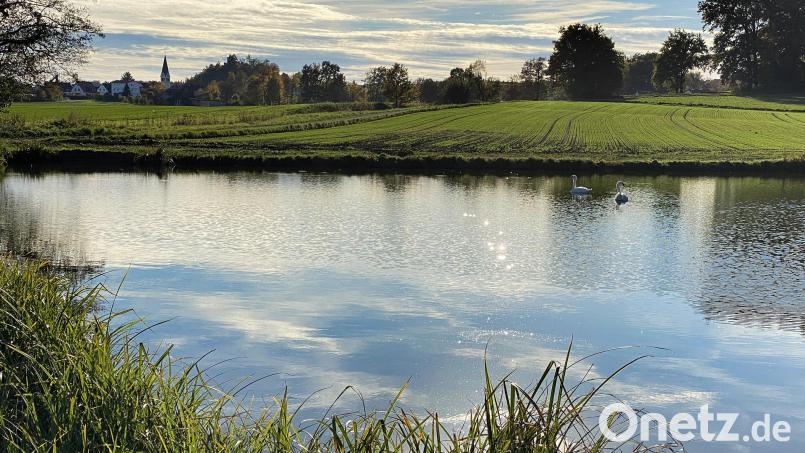 Herbststimmung an einem Weiher in der Nähe des Sulzbach-Rosenberger Ortsteils Oberschwaig. Bild: Petra Hartl