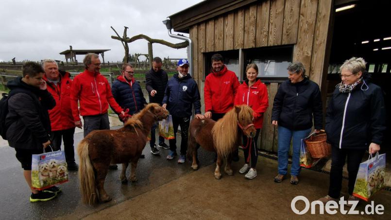 Die Ponys genießen den Besuch der Gruppe, die sich den Tieren liebevoll nähert. Bild: gz