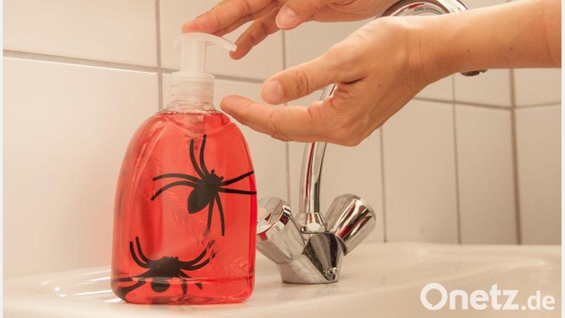 In der Seife haben sich Spinnen versteckt. Bild:  DIY Academy