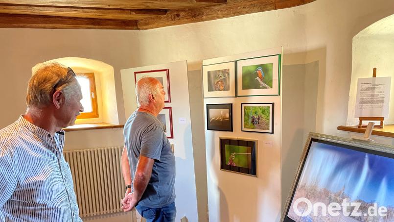 Das Obertor als Ausstellungsfläche für heimische Künstler. Mit 650 übertrifft die Besucherzahl der sonntags geöffneten Pop-up-Galerie alle Erwartungen. Bild: Marko Pammer/Stadt Nabburg