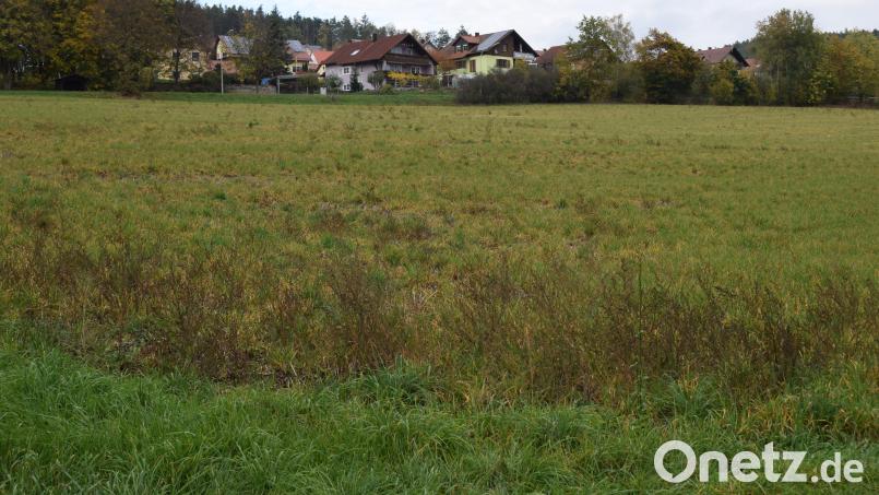 Das Baugebiet "Am Köblitzbach" ist ein Südhang, der die Bebauung in Oberköblitz nach Osten abschließt. Bild: bnr