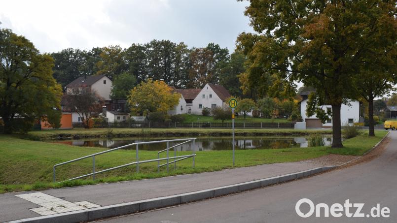 Aus Gründen der Sicherheit soll der Dorfweiher in Neunaigen im Bereich der Bushaltestelle auf einer Länge von 50 Meter eingezäunt werden. Die Bevölkerung ist davon wenig begeistert. Bild: bnr