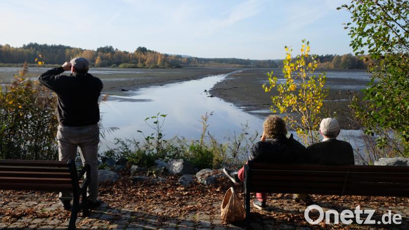 Einfach mal ein bisschen in der Sonne entspannen, während die Natur dem Sommer schon auf Wiedersehen sagt: So schön ist der Herbst am Obersee. Bild: do
