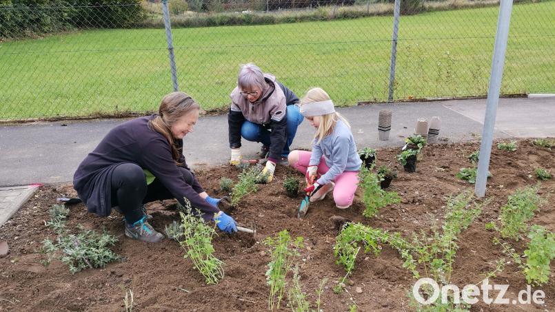 Die Nachwuchsgruppe „Naturforscher“ des Gartenbauvereins Neunaigen fördert mit mehreren insektenfreundlichen Anpflanzungen die Artenvielfalt. Bild: Maria Treiber/exb