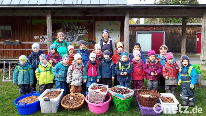 Die Kemnather Waldbären übergaben mit ihren Betreuerinnen Barbara Rauch (hinten knieend), Silvia Bauer und Carina Sirtl (hinten von rechts) die gesammelten Eicheln und Kastanien an den Wildpark Mehlmeisl. Bild: jzk