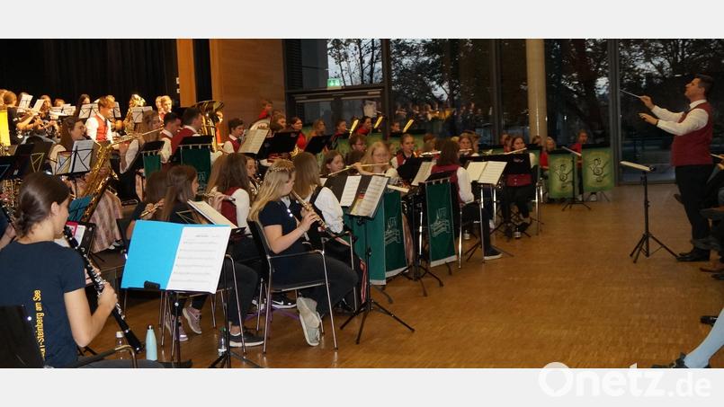 120 junge Musikerinnen und Musiker spielten beim Kreisjugendkonzert in der Schwarzachtalhalle. Markus Held leitete das Gesamtensemble Bild: wel