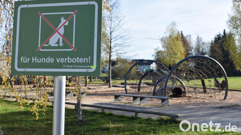 Es gibt Zonen im Fischhofpark, in denen Hunde nicht zugelassen sind. Einige Hundehalter ignorieren dieses Verbot bisweilen. Die Folge sind Hundehaufen beim Kinderspielplatz "Fischers Fritz". Bild: szl
