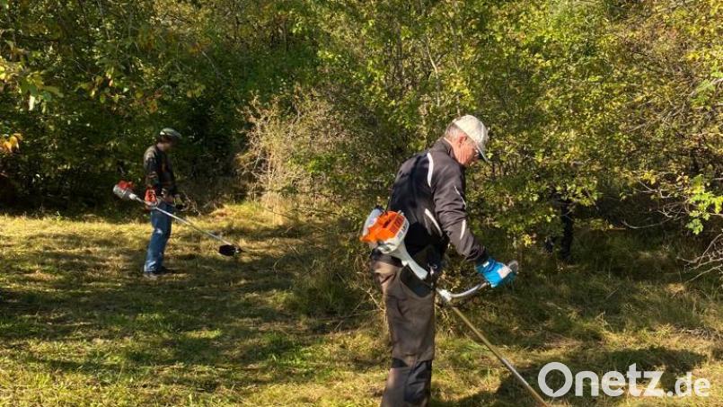 Die Ortsgruppe des Bund Naturschutz in Kirchenthumbach führte in den vergangenen Jahren viele Pflegearbeiten durch. Künftig will sie diese Arbeiten auf mehrere Schultern verteilen. Bild: Reinhold Wilterius/exb