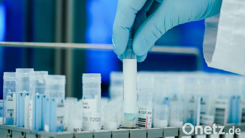 466 neue Corona-Fälle verzeichnete das Gesundheitsamt im Landkreis Schwandorf in den vergangenen sieben Tagen. Symbolbild: Uwe Anspach/dpa