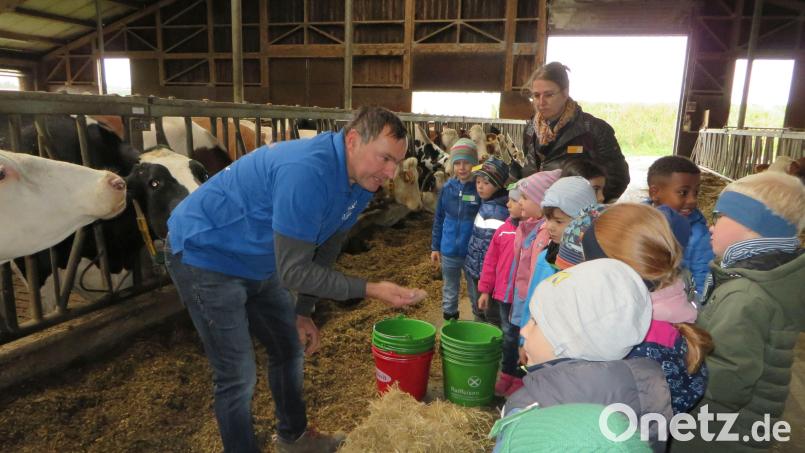 33 Kinder des Kinderhauses „Unsere Liebe Frau“ waren auf dem „Walerhof“ der Familie Weigl in Pilmersreuth an der Straße zu Gast. Bild: Sozialversicherung für Landwirtschaft, Forsten und Gartenbau/exb