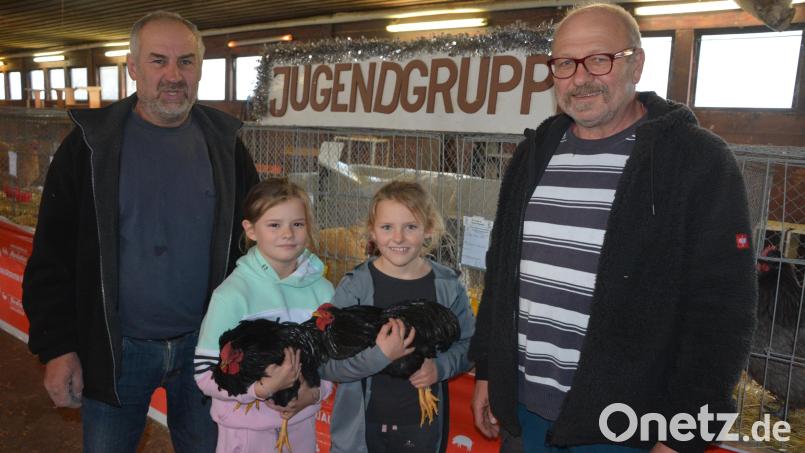 Bei der Lokalschau des Geflügelzuchtvereins Konnersreuth in Fockenfeld waren rund 230 verschiedene Tiere zu sehen. Vorsitzender Siegmund Lenk (rechts) und Züchter Alfons Reindl freuten sich über das Interesse bei Groß und Klein. Bild: jr