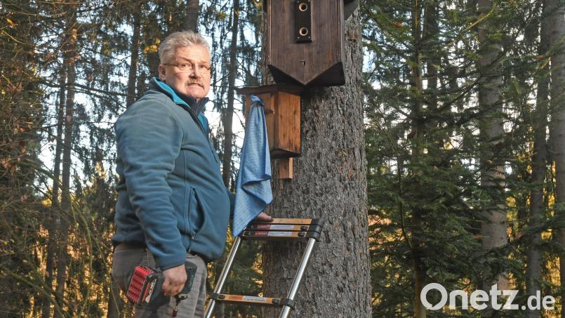 Peter Augustin hat schon Hunderte Nistkästen gebaut. Im Pfreimdtal und Kainzbachtal befestigt er die kleinen Holzwerke und freut sich, wenn sie von den Singvögeln angenommen werden. Bild: Gabi Schönberger