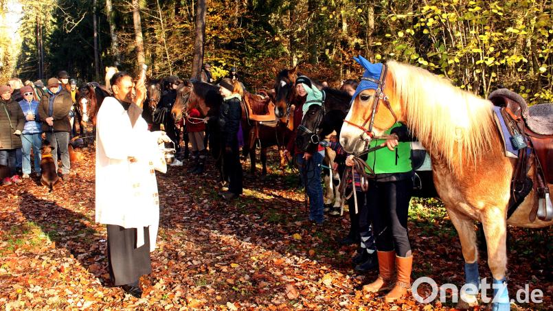 Segnung der Pferde an der Hubertuskapelle: Heuer lud erstmals der Reit- und Therapiehof Sabine Gruber aus Lückenrieth zum Leonhardiritt ein. Bild: R. Kreuzer