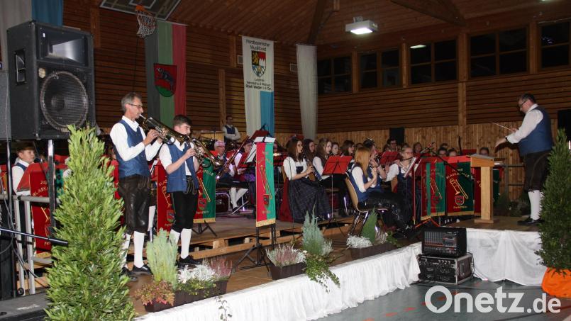 Volkstümliche Unterhaltung und konzertante Blasmusik präsentiert die Jugendblaskapelle Parkstein unter Leitung von Dirigent Alfons Steiner bei ihrem Konzert am 19. November. Archivbild: adj