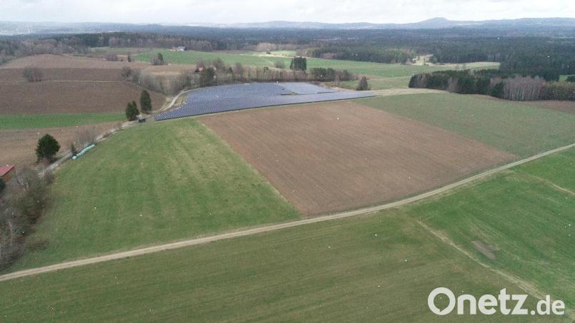 Die geplante Freiflächenphotovoltaikanlage umfasst die Fläche eingegrenzt vom Weg (links) und in der Bildmitte, schließt sich dami unmiittelbar an die bestehende Anlage an, und setzt sich am darüberhinaus an der rechten Seite bestehenden Anlage bis hin zum Waldrand (oben rechts) fort. Bild: bey