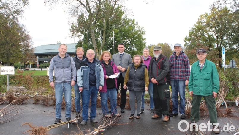 Fleißige Helfer rundum Heidi Schmid (Vierte von links), Geschäftsführerin des Kreisverbands für Gartenbau und Landespflege Schwandorf, und Landrat Thomas Ebeling (Fünfter von links), der auch Vorsitzender des Kreisverbands ist, helfen bei der Obstbaumpflanzaktion des Landkreis Schwandorf. Bild: Matthias Meier/exb