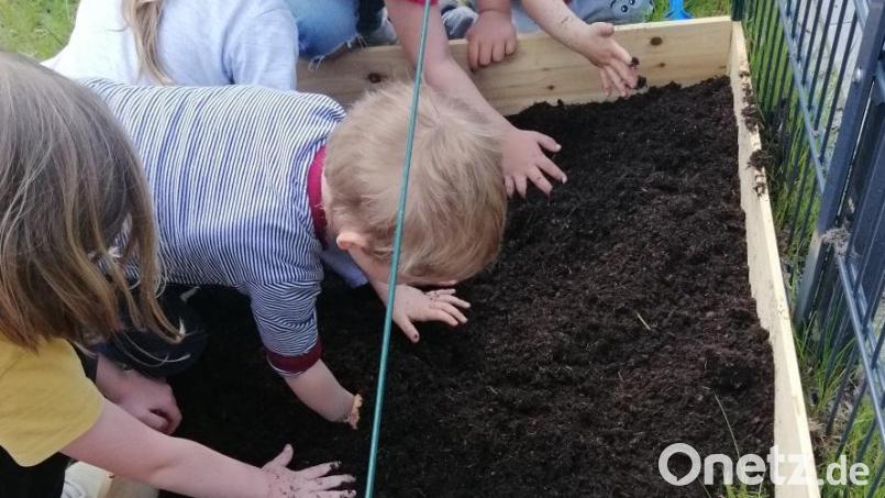 Die Kinder des Johanniter-Kinderhauses &quot;Weltgestalter&quot; in Wackersdorf legen ein Frühbeet an. Sie wühlen eifrig mit ihren Händen in der Erde. Bild: Susanne Pritzel