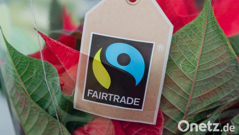 Das Fairtrade-Zeichen ist eines von mehreren Siegeln, die nachhaltiges Wirtschaften kennzeichnen. In Amberg beschäftigt sich eine Koordinatorin für kommunale Entwicklungspolitik mit dem Thema. Bild: Markus Scholz/dpa
