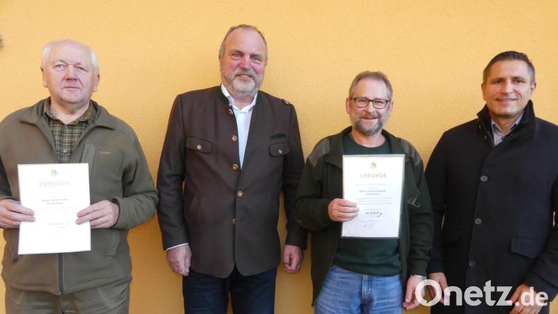 Reinhold Gietl (Zweiter von links) und Marcus Gradl (rechts) zeichneten Anton Fichtl und Norbert Schmidt (von links) mit der Ehrennadel in Gold des Landesverbandes aus. Bild: rn